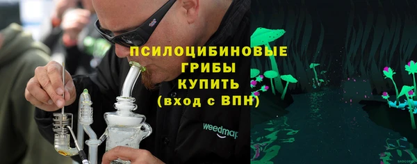гашик Магас
