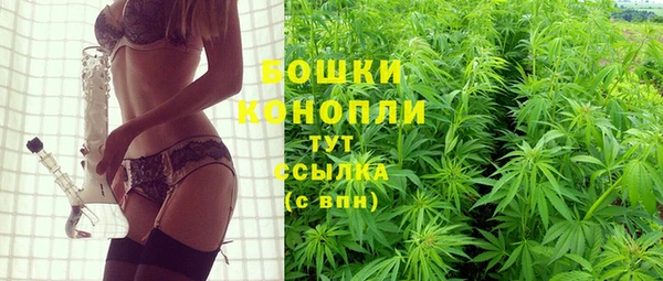 гашик Магас
