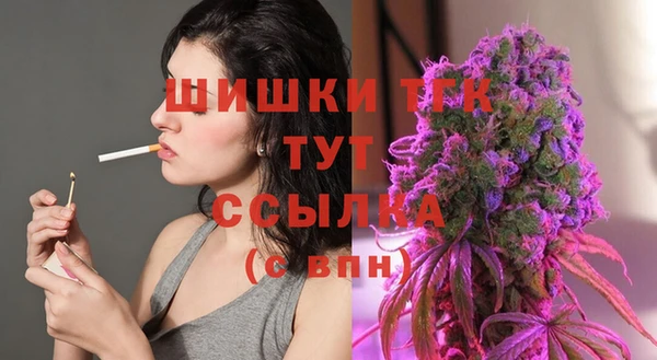 гашик Магас