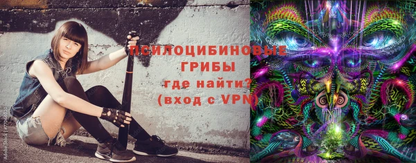 гашик Магас