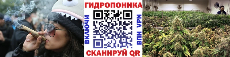 kraken онион  Лахденпохья  Конопля SATIVA & INDICA 